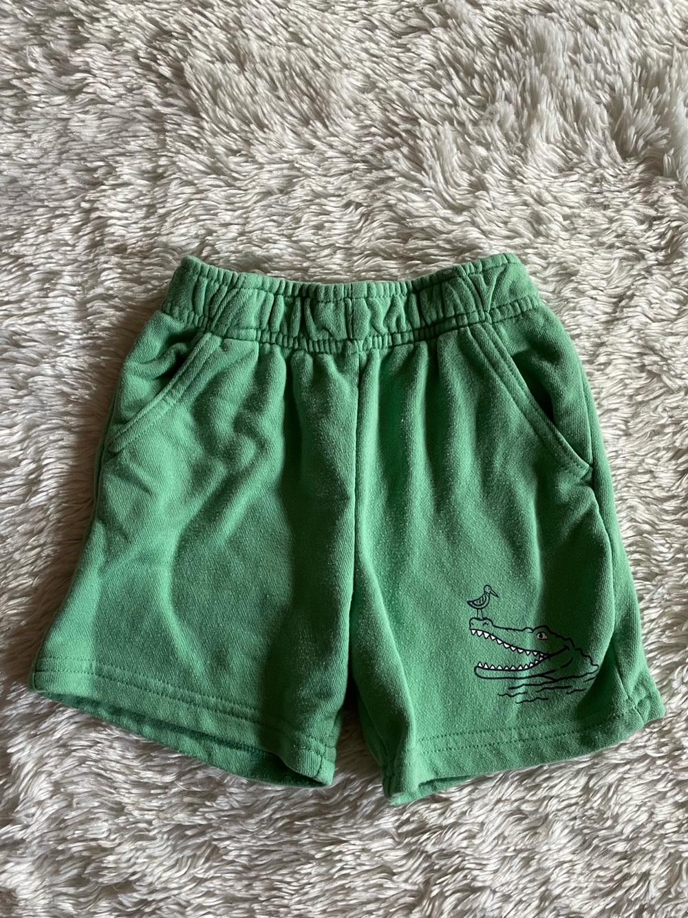 alligator shorts